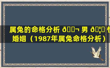 属兔的命格分析 🐬 男 🦄 性婚姻（1987年属兔命格分析）